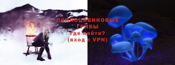 винт Белокуриха